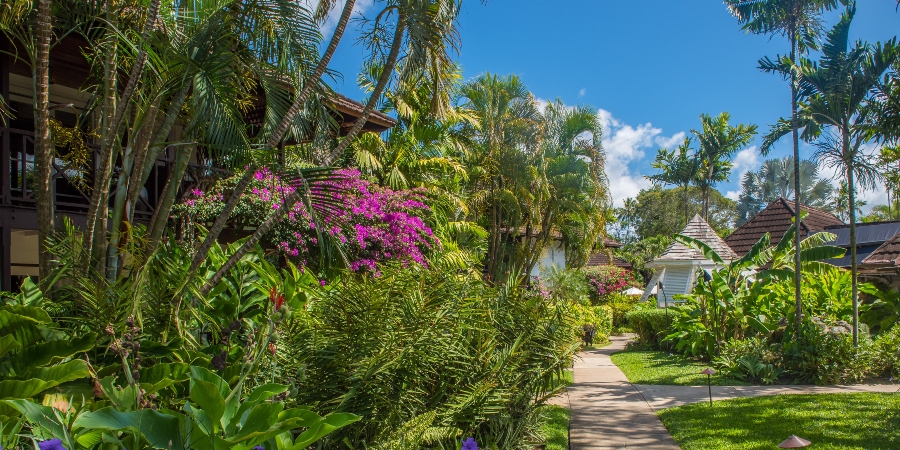   The Sandpiper, Barbados