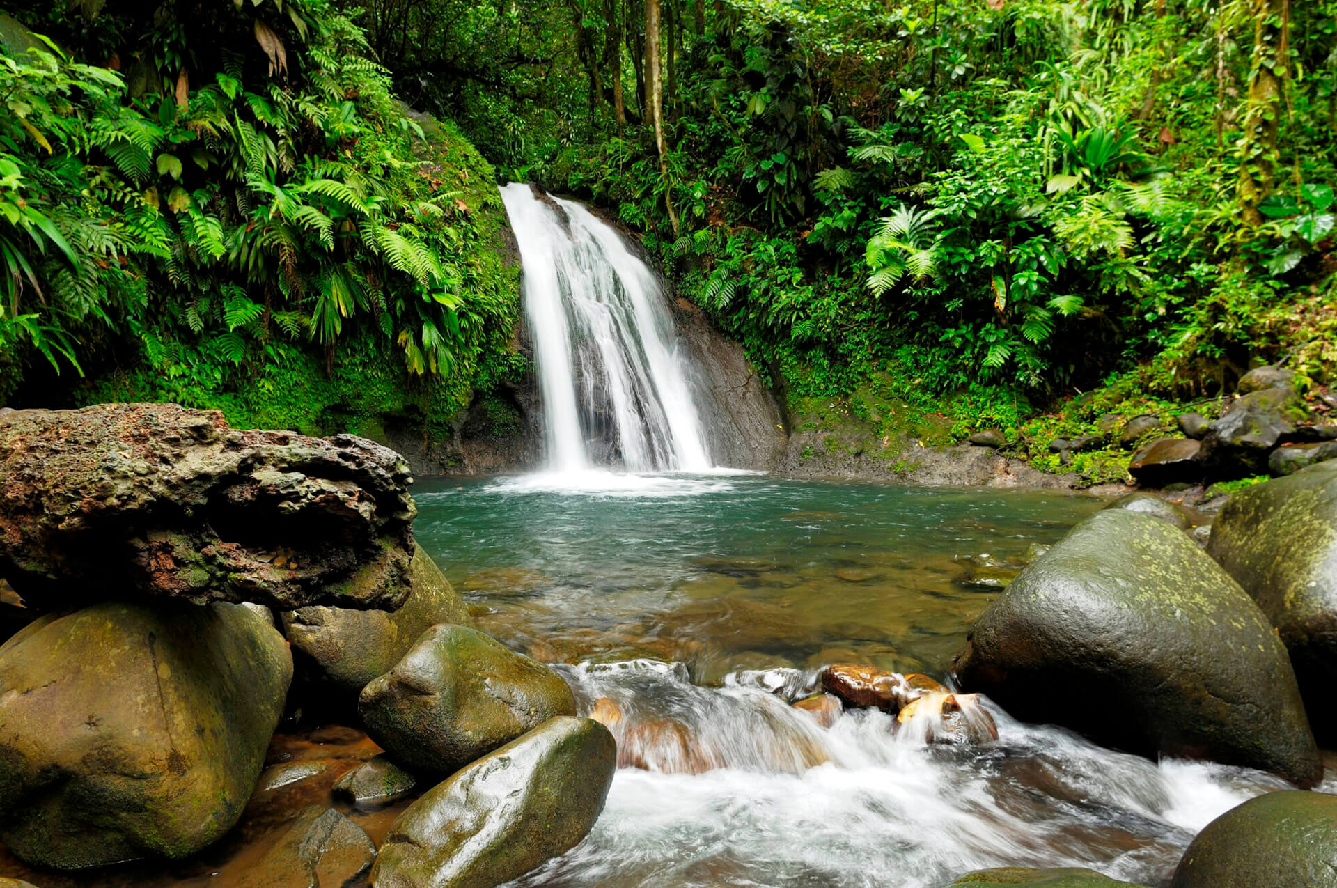 Waterfall in Guadeloupe