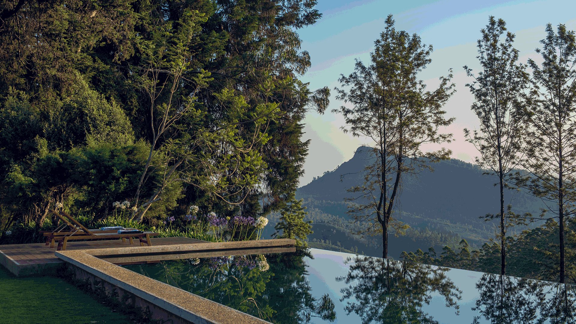 Goatfell, Tea Country