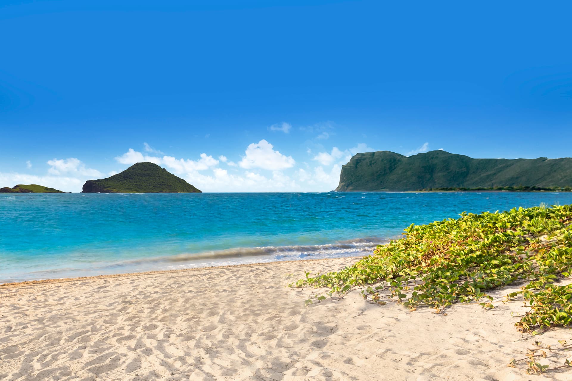 Beach at Coconut Bay