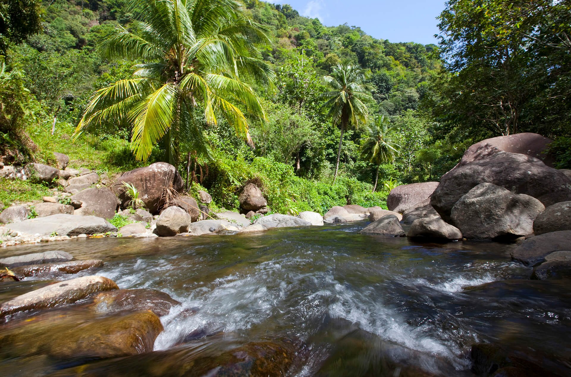 Dominica